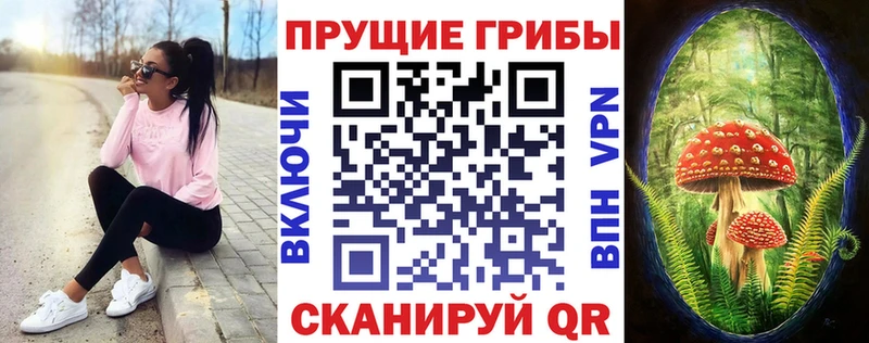 где можно купить   Артёмовск  Галлюциногенные грибы GOLDEN TEACHER 